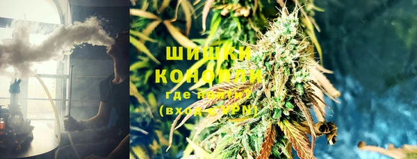 ГАЛЛЮЦИНОГЕННЫЕ ГРИБЫ Богородск
