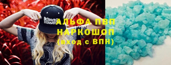 ГАЛЛЮЦИНОГЕННЫЕ ГРИБЫ Богородск