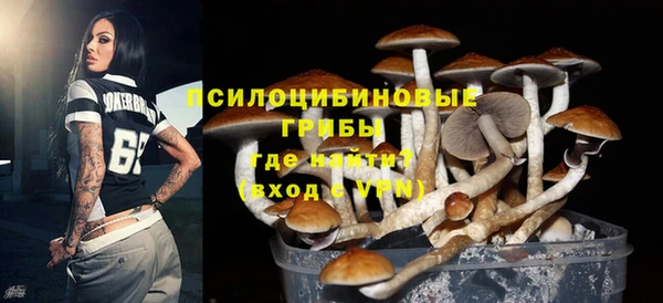 apvp Сосновоборск